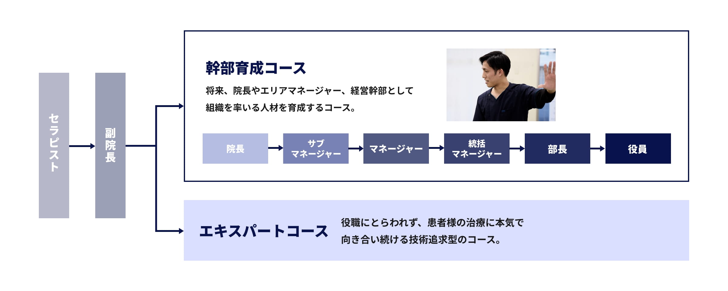 幹部育成コースとエキスパートコースのキャリア図